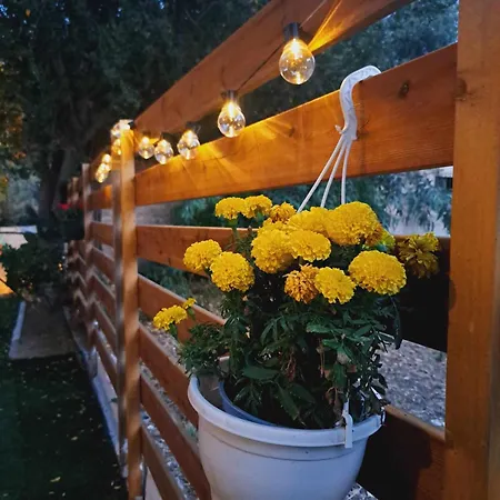 Felina House Villa Artemida  Dış mekan fotoğraf